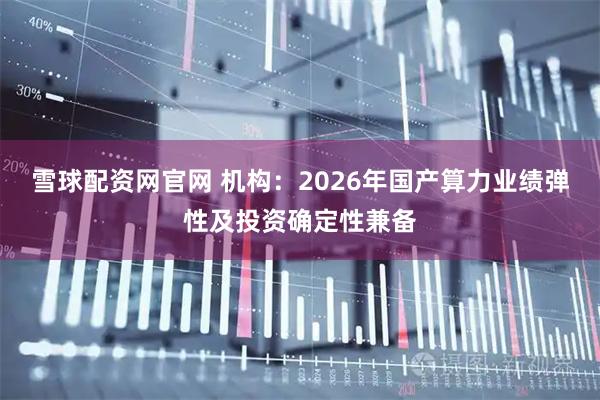 雪球配资网官网 机构:2026年国产算力业绩弹性及投资确定性兼备