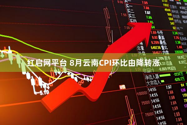红启网平台 8月云南CPI环比由降转涨